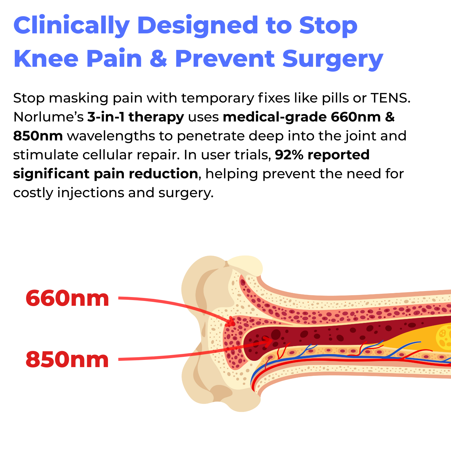 Norlume Red Therapy Wrap detail view
